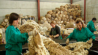 Mujeres trabajando la lana.
